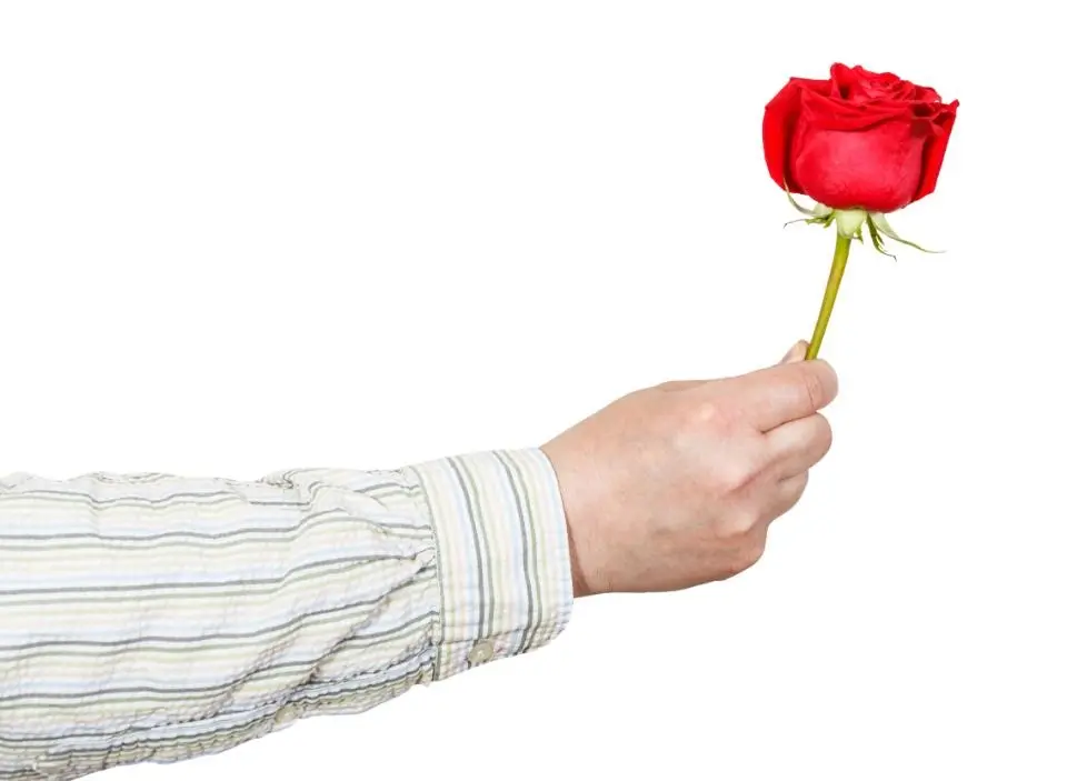 En hand sträcker ut en röd ros till någon. Foto.