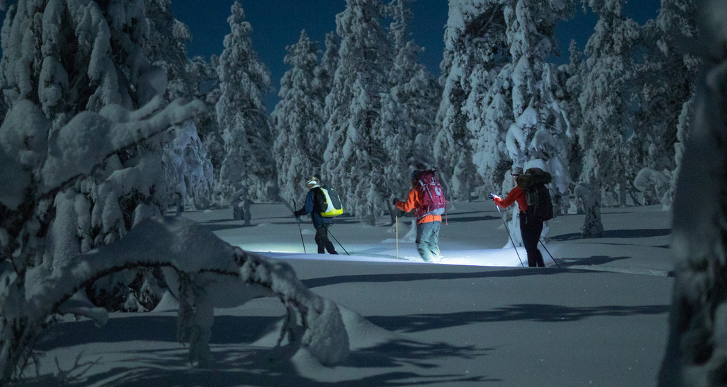Tre personer åker längdskidor i snö under natten. 