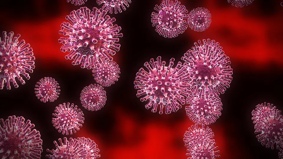 Bild på coronavirus, röda mot svart bakgrund