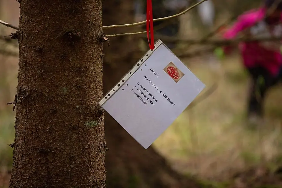 Tipspromenadfråga hänger i ett träd i ett rött band. Foto.