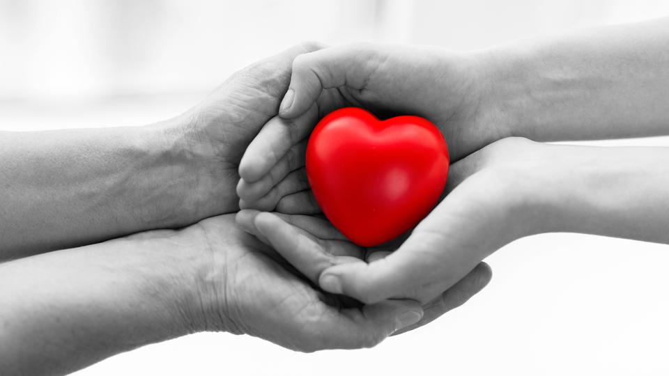 Närbild på en äldre och en yngre kvinnas händer som tillsammans håller ett rött hjärta. Foto.