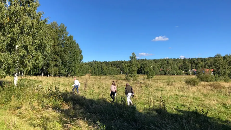 Grönområde där tre personer går genom högt gräs