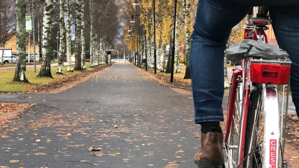 En person med varselväst cyklar på en asfalterad cykelbana. Det är höst och gula löv.
