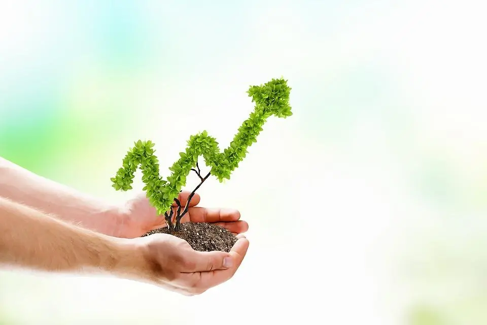 En hand håller i en växande planta som visar på tillväxt. Foto.