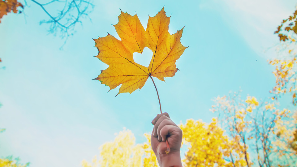 En hand som håller i ett löv med ett hålrum i form av ett hjärta.