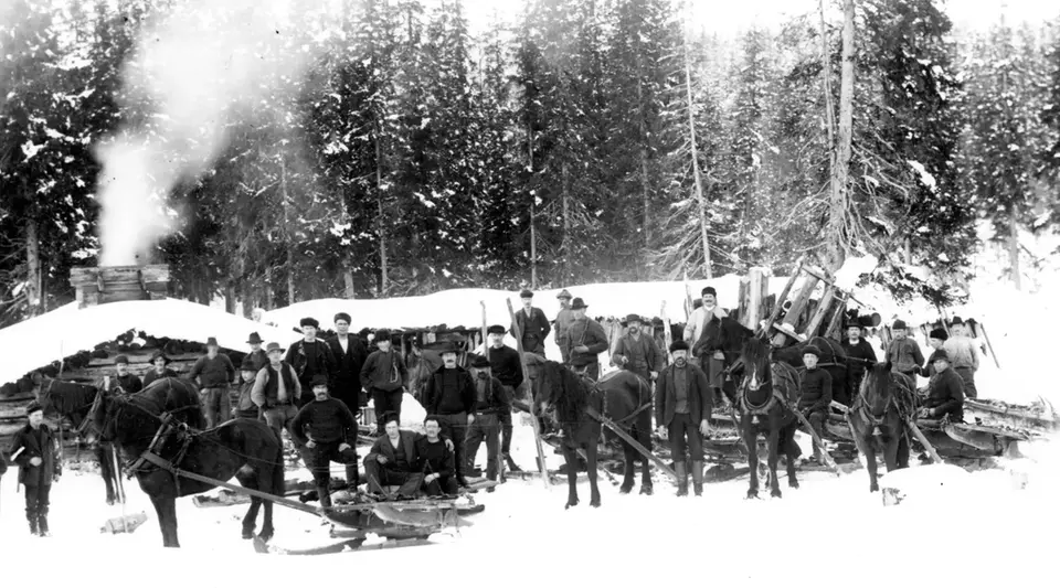 Orsakarlar vid avverkning i Dovänget, nordväst om Untorp 1911-14 